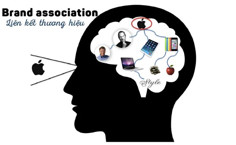 Brand Association là gì? Cách xây dựng Brand Association hiệu quả